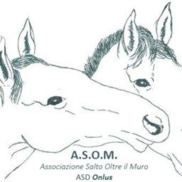 Associazione Salto Oltre il Muro Asd - Centro studi relazione uomo cavallo Onlus
